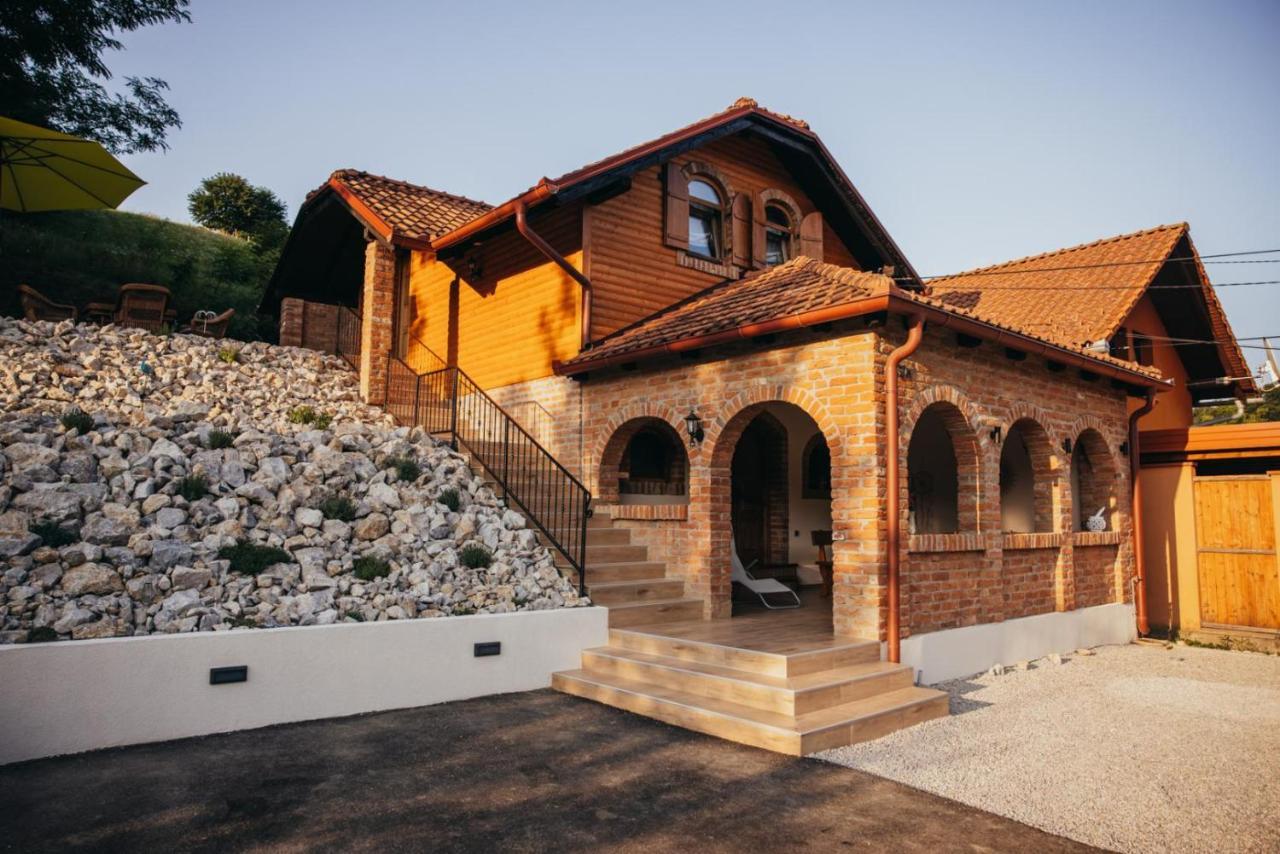 Villa Magnolia Sveti Martin Na Muri Exterior photo
