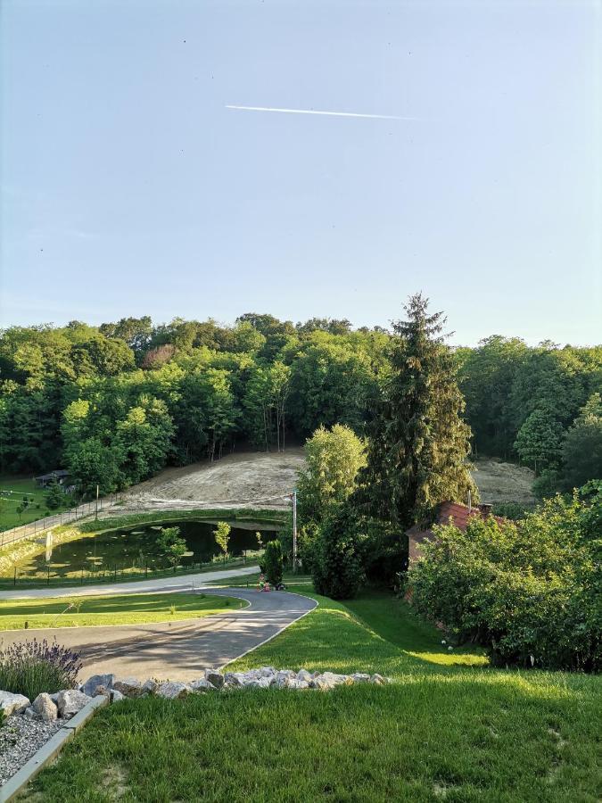 Villa Magnolia Sveti Martin Na Muri Exterior photo