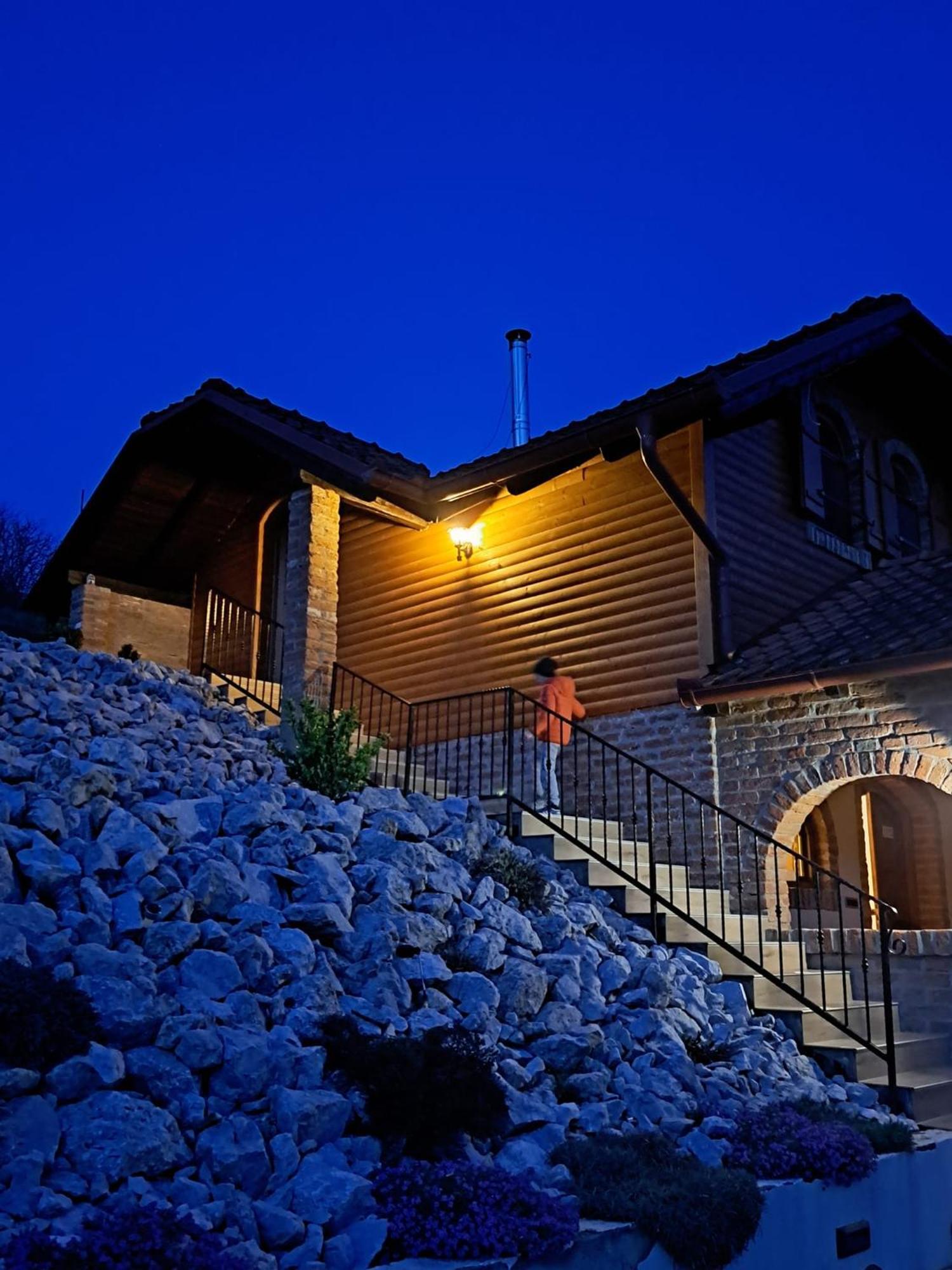 Villa Magnolia Sveti Martin Na Muri Exterior photo