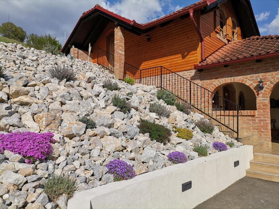 Villa Magnolia Sveti Martin Na Muri Exterior photo