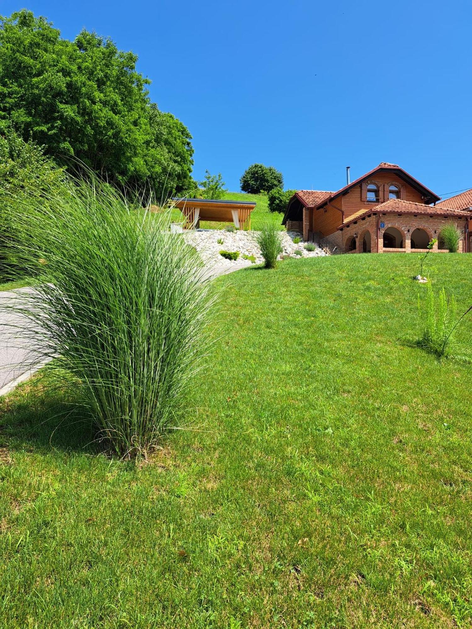 Villa Magnolia Sveti Martin Na Muri Exterior photo